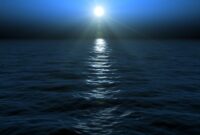 Ocean pollution news