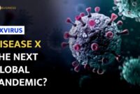 Disease outbreak news