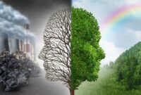 Environmental activism news