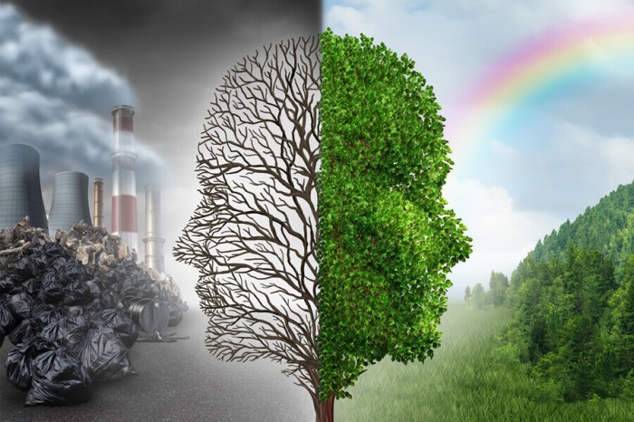 Environmental activism in India - iPleaders Environmental activism news