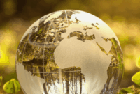 Environmental policy updates