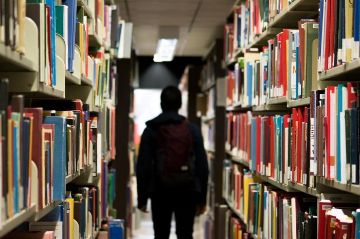 Curious Student Free Stock Photo - Public Domain Pictures Curious Student Free Stock Photo - Public Domain Pictures