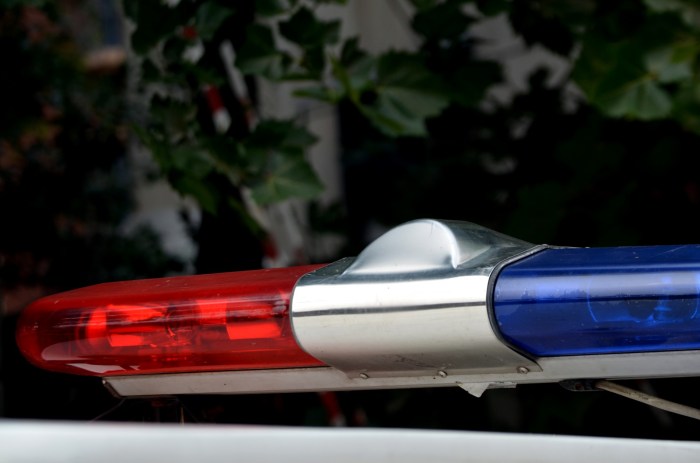 Police Lights Free Stock Photo - Public Domain Pictures Police reform news