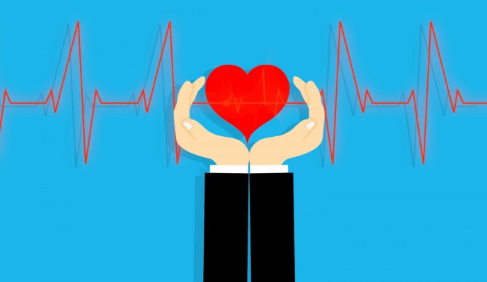 Free Images : insurance, life, protect, help, secure, care, figure ... WHO health advisory