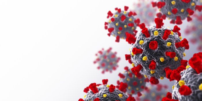 Coronavirus, come agisce e come in alcuni casi purtroppo uccide - Wired COVID-19 news