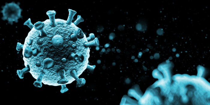 C'è un nuovo studio sul legame tra coronavirus e stagioni - Wired COVID-19 news