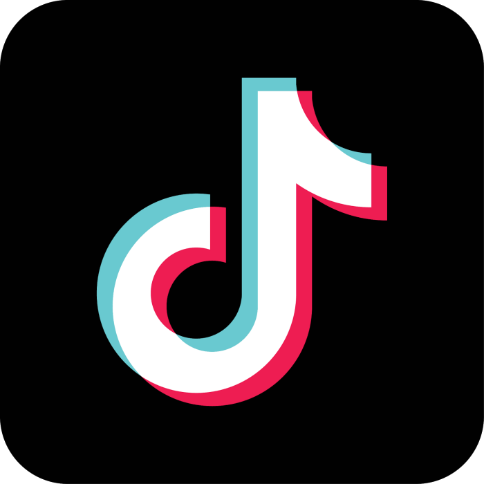 Comprendre les TikTok et Reels TikTok news flash