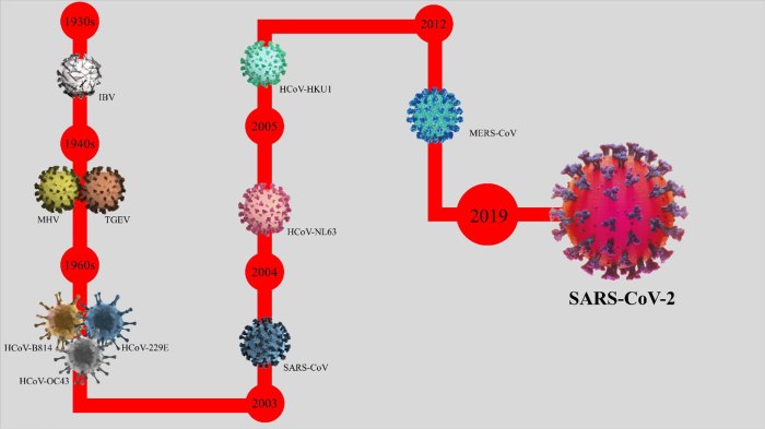 Frontiers | Coronavirus Disease 2019: A Brief Review of the Clinical ... Frontiers | Coronavirus Disease 2019: A Brief Review of the Clinical ...